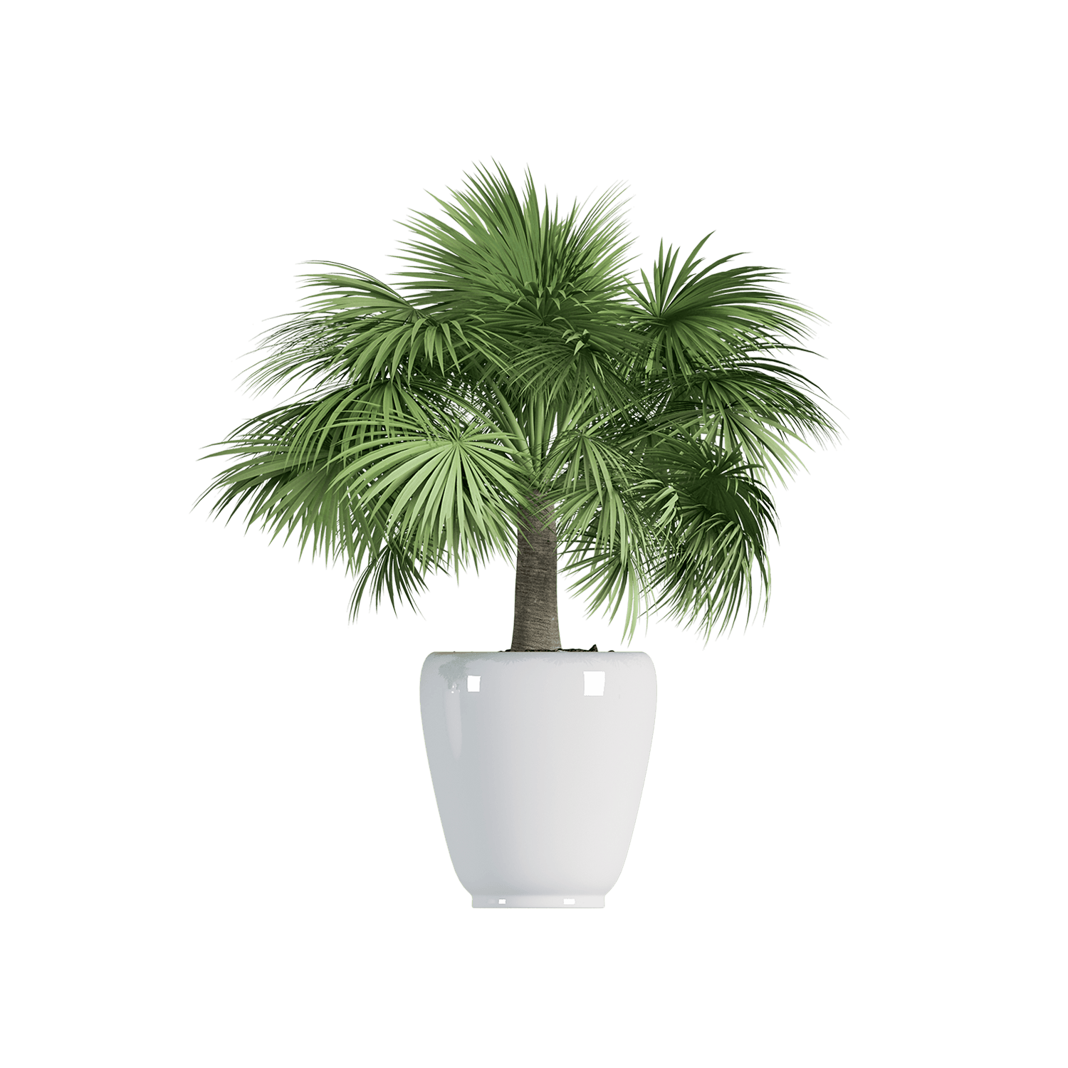 catalog-categories-home-furniture-home-decor-plant-decor-plant-decor-02-plant-decor-02-3.png - 6e80908c