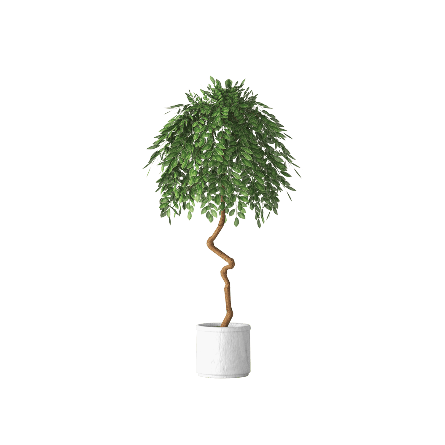catalog-categories-home-furniture-home-decor-plant-decor-plant-decor-02-plant-decor-02-4.png - 113fc159