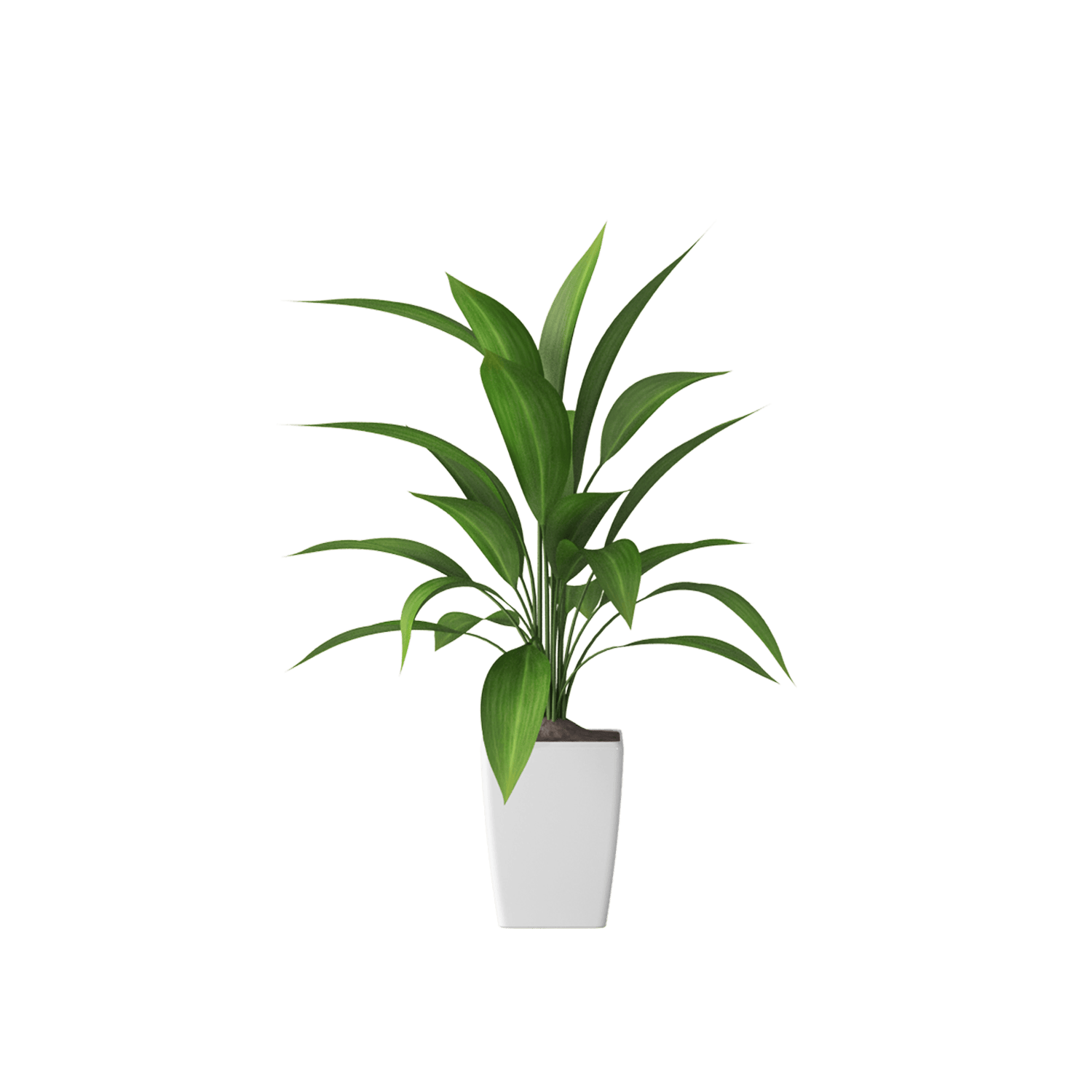 catalog-categories-home-furniture-home-decor-plant-decor-plant-decor-05-plant-decor-05-2.png - 9844ff62