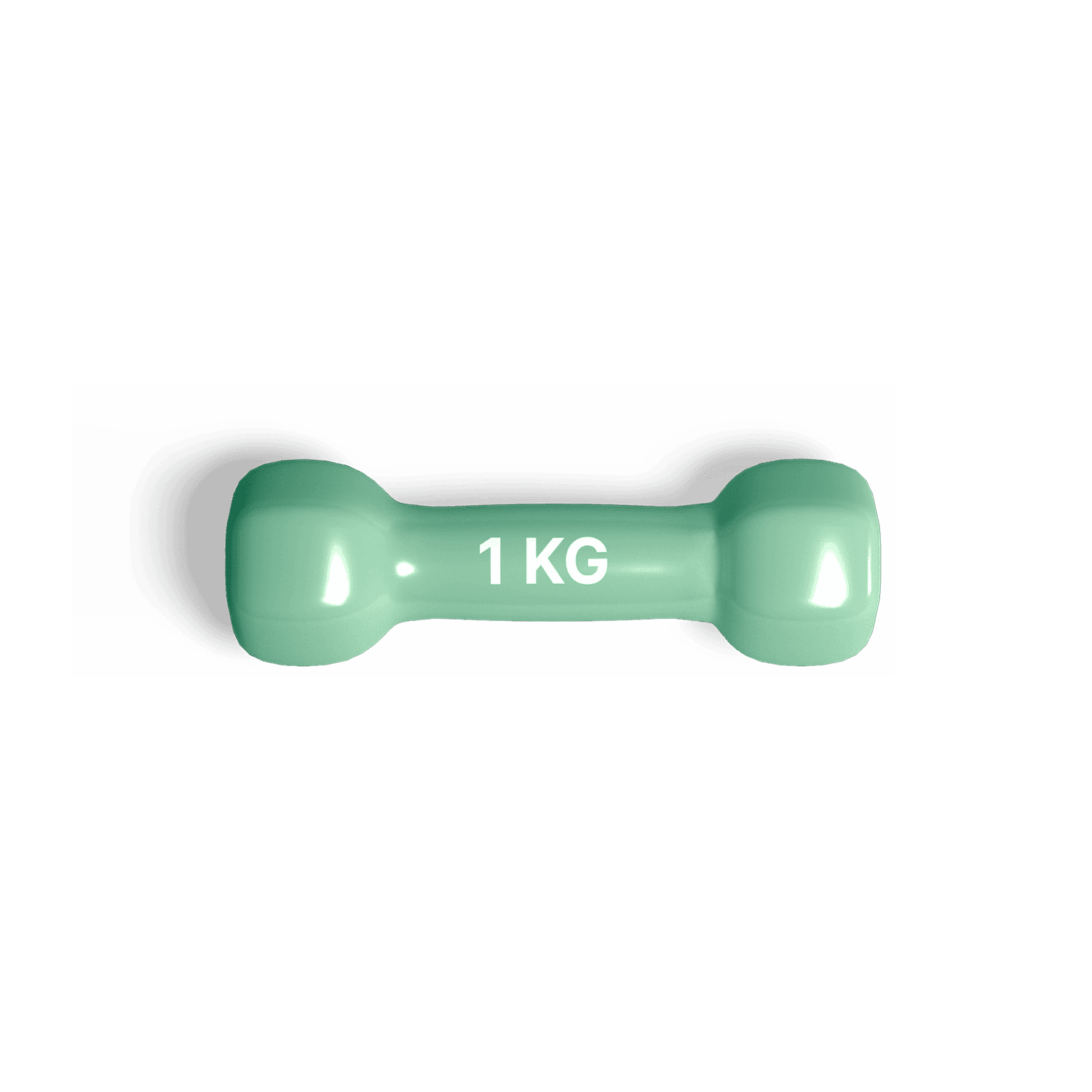 catalog-categories-sports-outdoor-fitness-fitness-equipment-1-kg-dumbbell-1-kg-dumbbell-variant-color-green.png - 7ecd2792