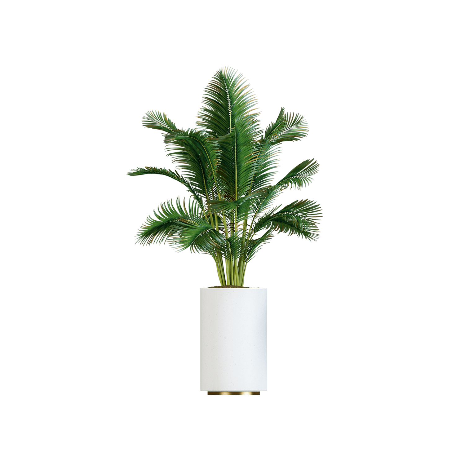 Plant Decor - 294f81a0