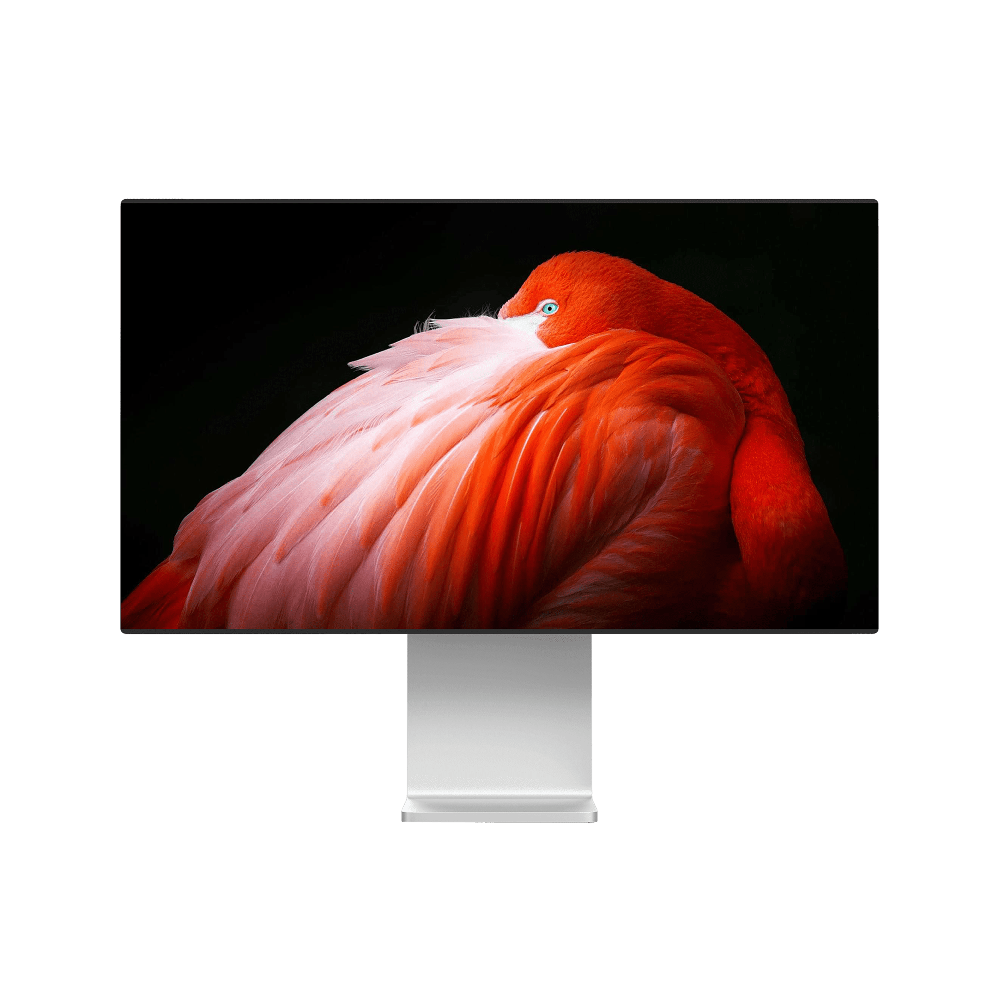 catalog-categories-electronics-computers-monitors-cinema-display-demo-mock-up-cinema-display-demo-mock-up-1.png - 073d8dea