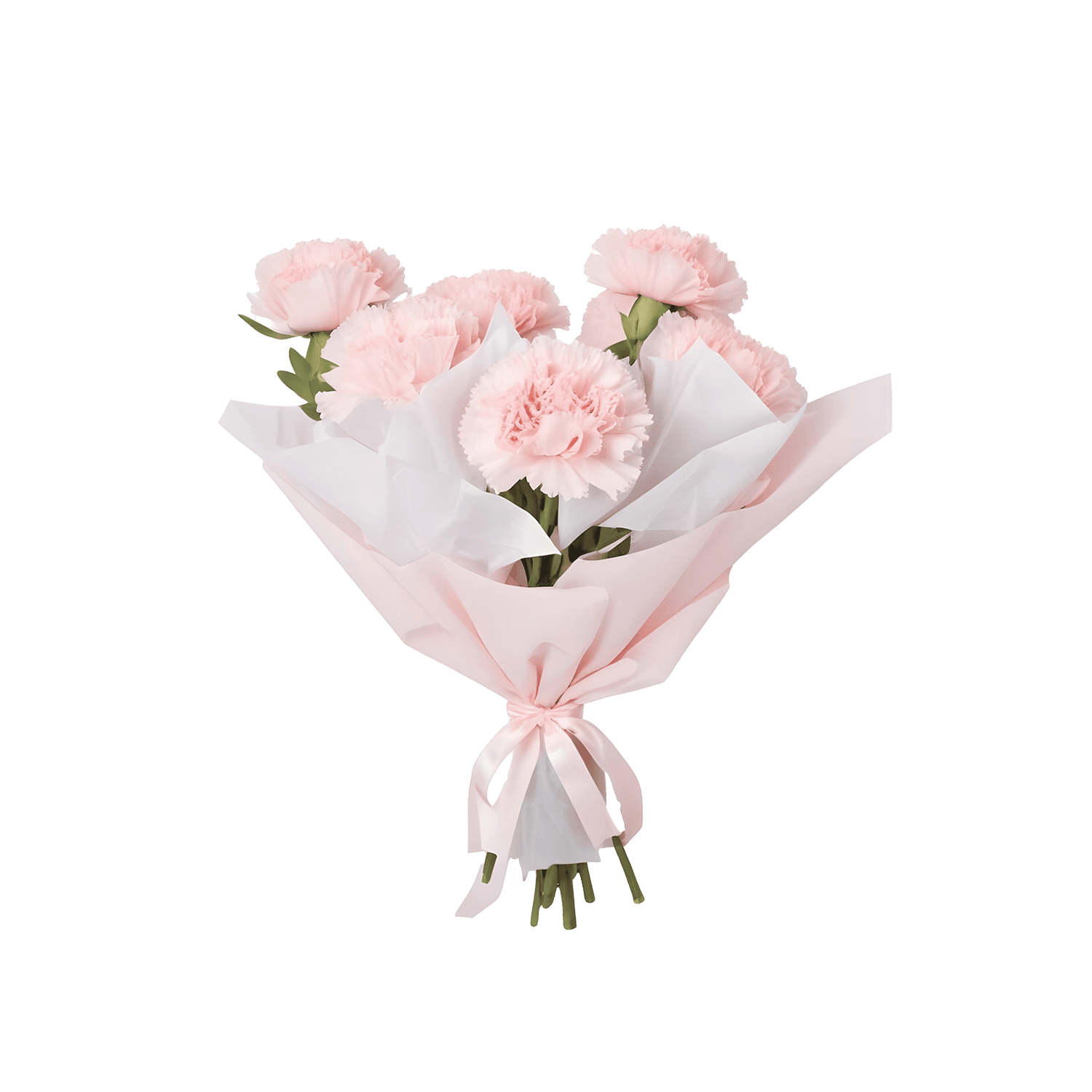 catalog-categories-flowers-plants-bouquets-carnations-carnations-bouquet-carnations-bouquet.png - 25f9765a