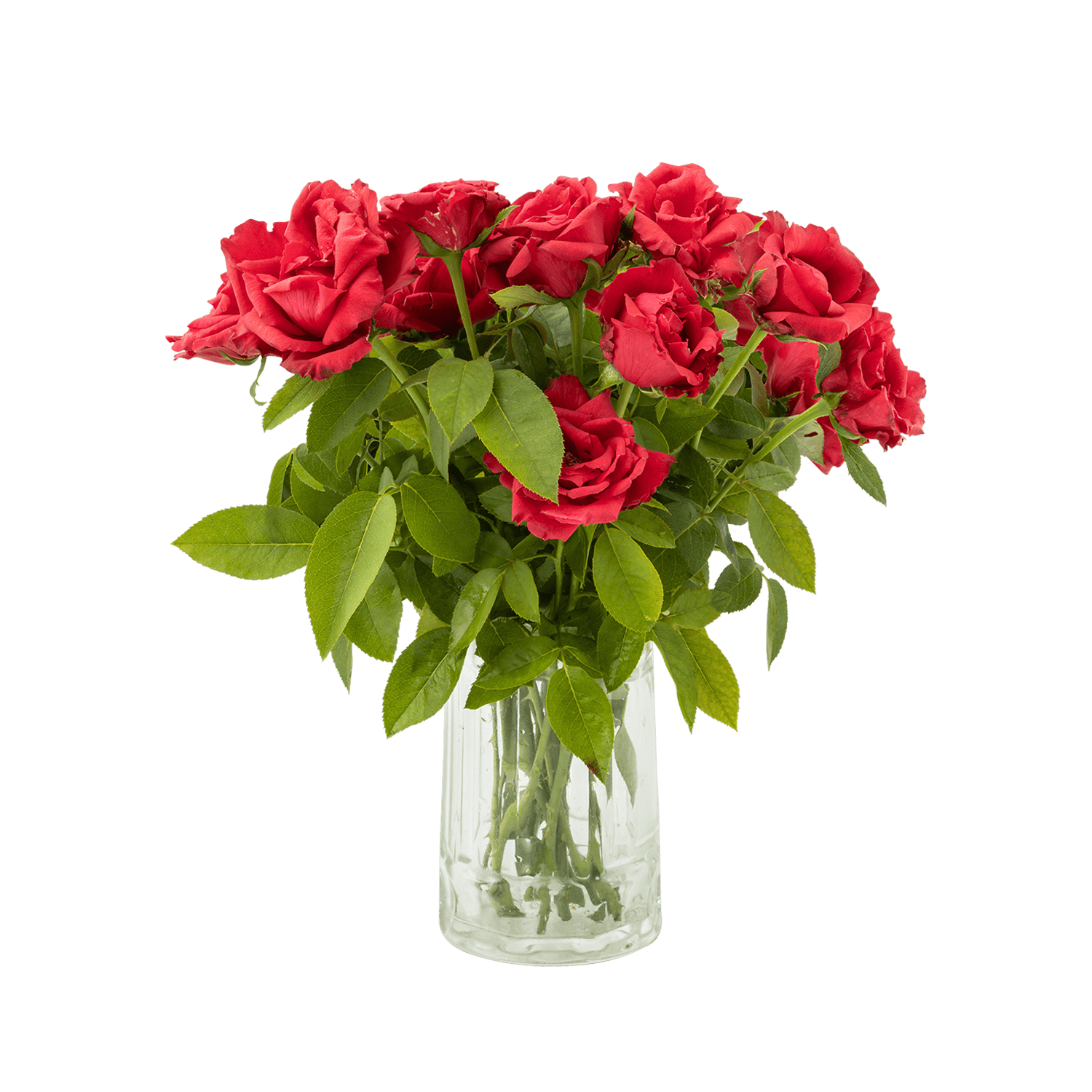 catalog-categories-flowers-plants-indoor-plants-vase-flowers-vase-flowers-01-vase-flowers-01.png - a2437b67
